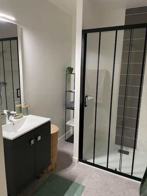 Superbe Appartement En Residence Avec Parking Льо Ман Екстериор снимка